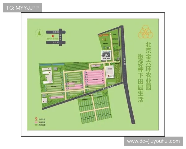 从足球竞技到尿素科学探秘绿色动力助力运动与农业融合发展